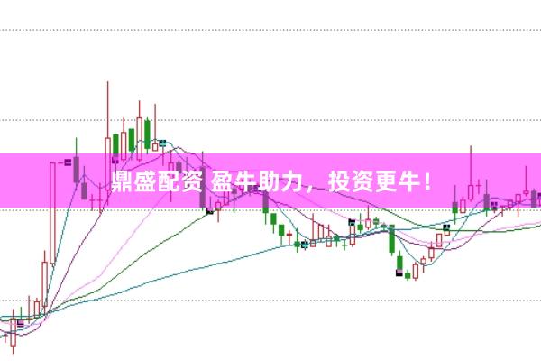 鼎盛配资 盈牛助力，投资更牛！