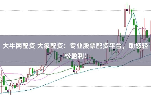 大牛网配资 大象配资：专业股票配资平台，助您轻松盈利！