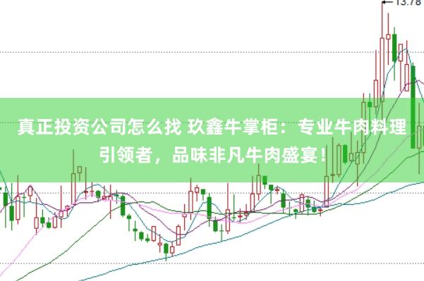 真正投资公司怎么找 玖鑫牛掌柜：专业牛肉料理引领者，品味非凡牛肉盛宴！