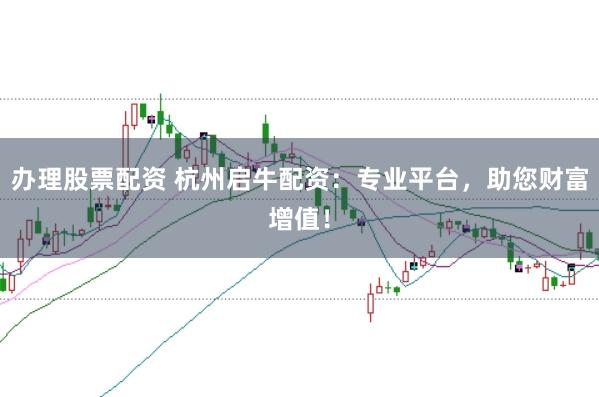办理股票配资 杭州启牛配资：专业平台，助您财富增值！