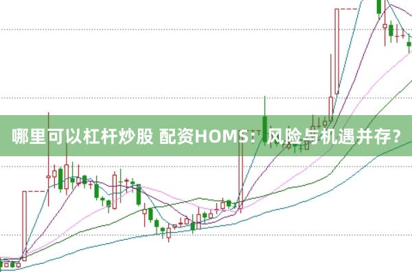 哪里可以杠杆炒股 配资HOMS：风险与机遇并存？