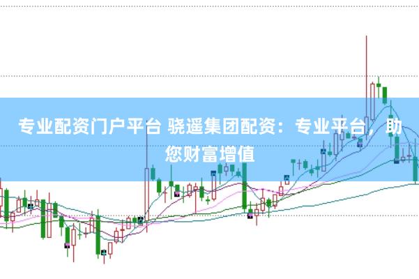 专业配资门户平台 骁遥集团配资：专业平台，助您财富增值