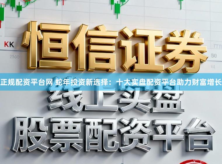 正规配资平台网 蛇年投资新选择：十大实盘配资平台助力财富增长